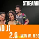 Damad Ji 2 by NEONX OTT
