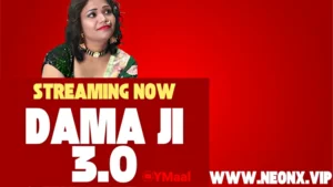 Damad Ji 3 by NEONX OTT
