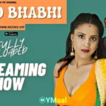 Disco Bhabhi by NEONX OTT