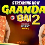 Gaanda Bai 2 by NEONX OTT
